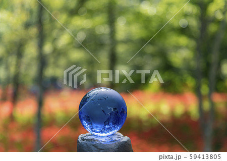 【巾着田　彼岸花　eco】 59413805