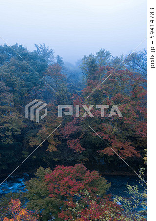 【栃木】湯西川温泉の紅葉 【栃木】湯西川温泉の紅葉 59414783