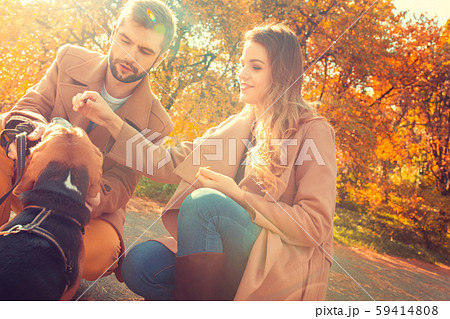 Young couple walk in the autumn park 59414808