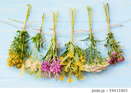 Bundles of medicinal herbs dried near a blue wooden wall, alternative medicine and herbal treatment Bundles of medicinal herbs dried near a blue wooden wall, alternative medicine and herbal treatment 59415905