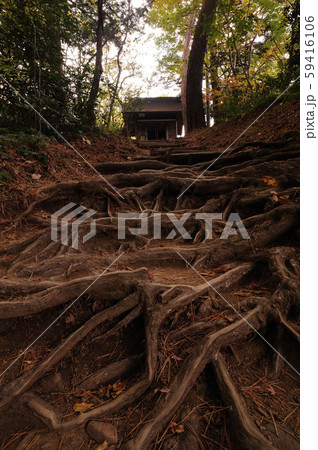 中尊寺 中尊寺 59416106