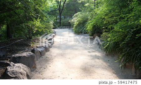 徳寿宮 薮 緑 59417475