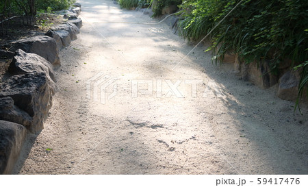 徳寿宮 薮 緑 59417476