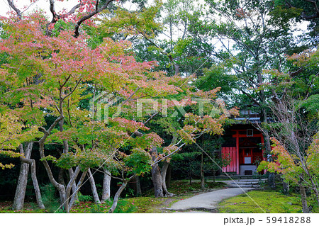 依水園 依水園 59418288
