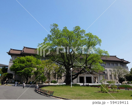 上野公園  国立博物館   59419411