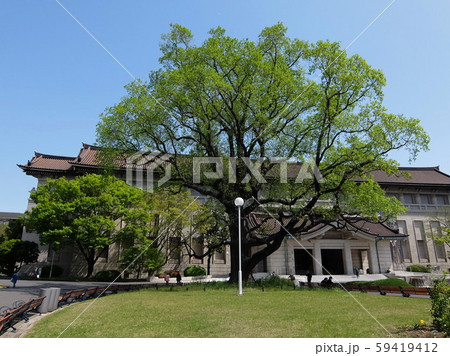 上野公園  国立博物館   59419412