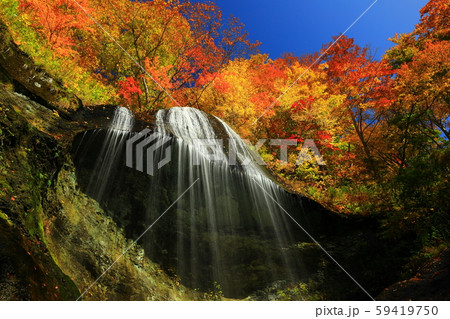 紅葉の白糸の滝の写真素材