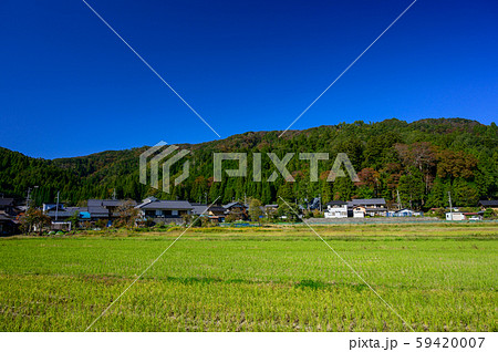 秋の滋賀県湖北地方の農村 11月 59420007