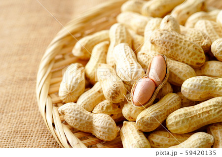 落花生 落花生 59420135