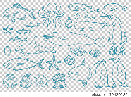 手描き線画 海の生き物のイラスト素材 5941