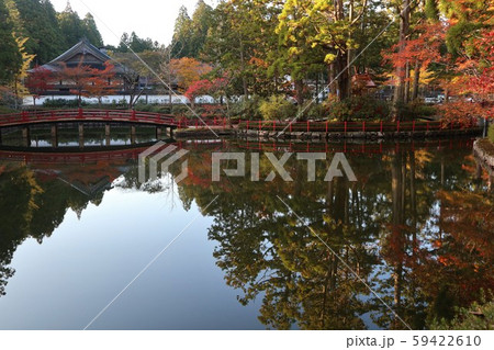 高野山の紅葉 59422610