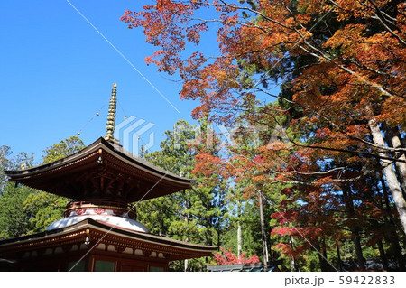 高野山の紅葉 高野山の紅葉 59422833
