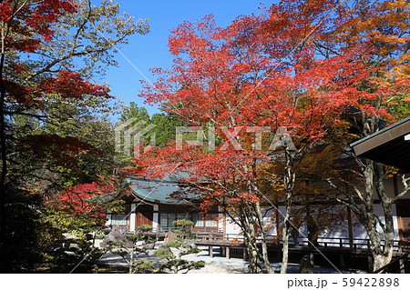 高野山の紅葉 59422898