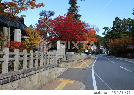 高野山の紅葉 高野山の紅葉 59423031