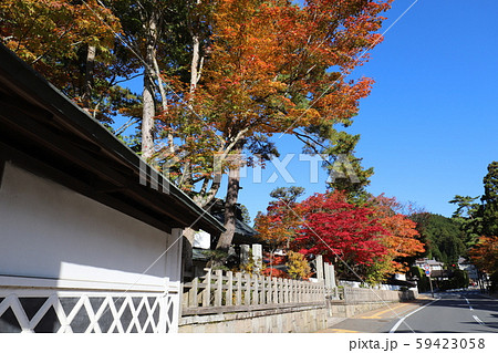 高野山の紅葉 59423058