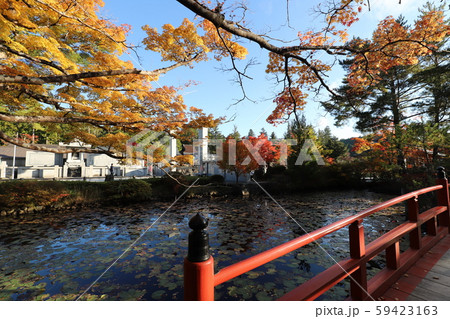 高野山の紅葉 高野山の紅葉 59423163