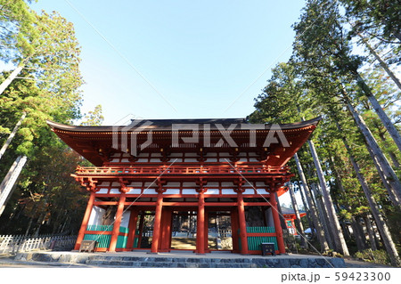 高野山の紅葉 59423300