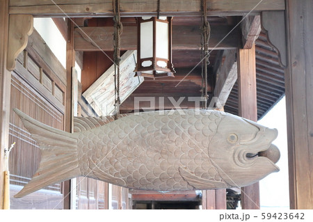 黄檗宗大本山萬福寺 開梆 黄檗宗大本山萬福寺 開梆 59423642