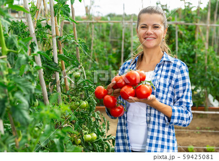 Young woman gardener holding harvest of fresh tomatoes 59425081