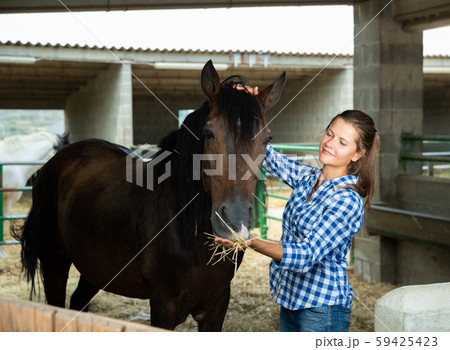 Female farmer feeds horse in the corral 59425423