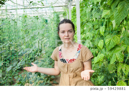 Serious female horticulturist standing near pea and soy seedlings 59429881