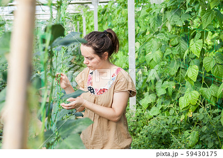 Woman working in glasshousw 59430175