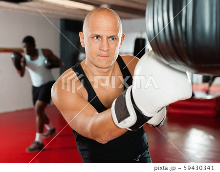 Training of muscular friendly boxers in the gym Training of muscular friendly boxers in the gym 59430341