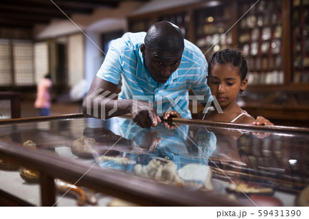 Visitors looking at exhibits in glass stands Visitors looking at exhibits in glass stands 59431390