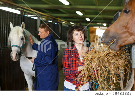 Positive female worker feeding horses 59433835