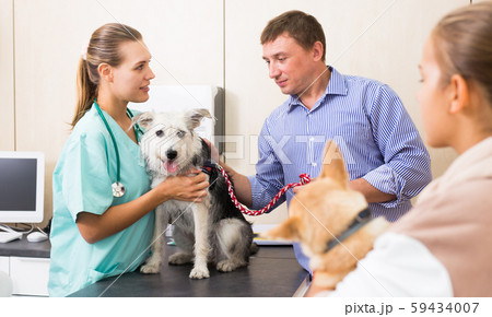 Father and daughter waiting for a vet diagnosis Father and daughter waiting for a vet diagnosis 59434007
