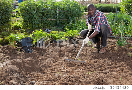 Gardener tilling soil at homestead 59434480