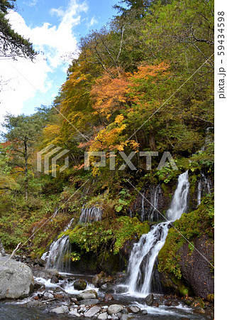 秋紅葉の吐竜の滝と清流 秋紅葉の吐竜の滝と清流 59434598
