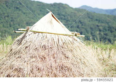 Pile rice in hill is colourful Pile rice in hill is colourful 59435021