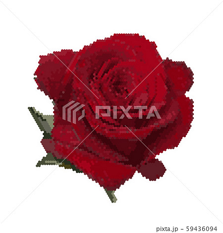 Rose flower. isolated on white. Vector 59436094