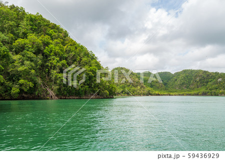 Mangroves and caves Dominican republic Mangroves and caves Dominican republic 59436929