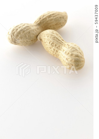 落花生 59437009
