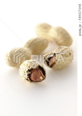 落花生 落花生 59437349