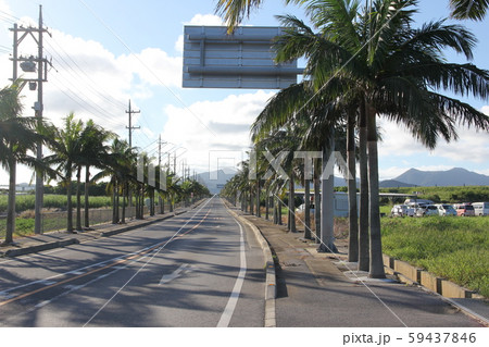 沖縄県、石垣島白保地区の道路 沖縄県、石垣島白保地区の道路 59437846