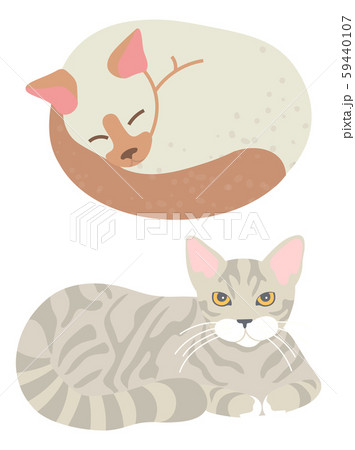 Tabby Cat, Sleeping Domestic Cat, Home Vector 59440107