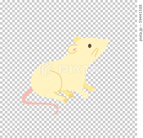 可愛いネズミのイラスト 59441588