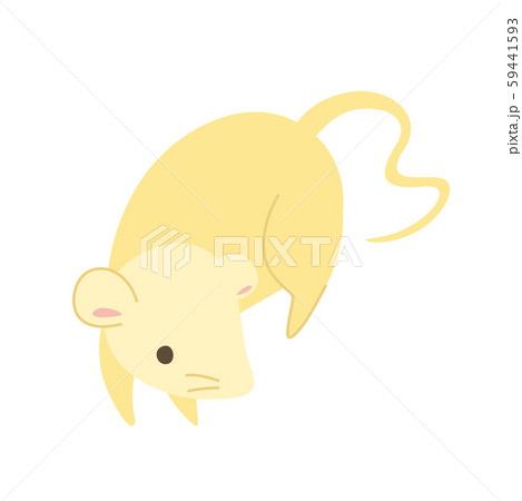 可愛いネズミのイラスト 可愛いネズミのイラスト 59441593