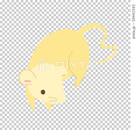 可愛いネズミのイラスト 可愛いネズミのイラスト 59441593