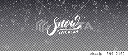 Snow Background Realistic Snow Overlay Winter のイラスト素材