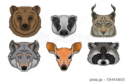 Wild Animals Muzzles Vector Set. Highly Detailed Neb Collection 59443603