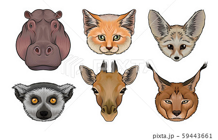 Wild Animals Muzzles Vector Set. Highly Detailed Neb Collection 59443661