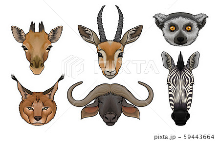Wild Animals Muzzles Vector Set. Highly Detailed Neb Collection 59443664