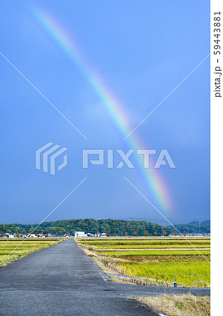 雨上がりの虹／農道　田んぼ道　11月撮影　石川県能美市 59443881
