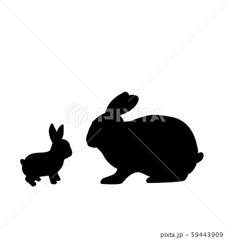 Silhouette of rabbit and young little rabbit 59443909