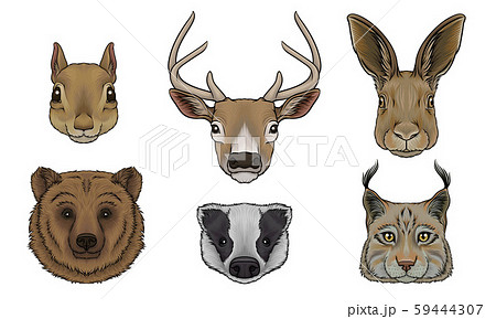 Wild Animals Muzzles Vector Set. Highly Detailed Neb Collection Wild Animals Muzzles Vector Set. Highly Detailed Neb Collection 59444307