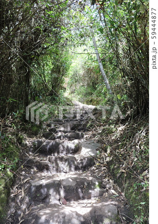 ペルー、マチュピチュ、マチュピチュ山登山道 59444877